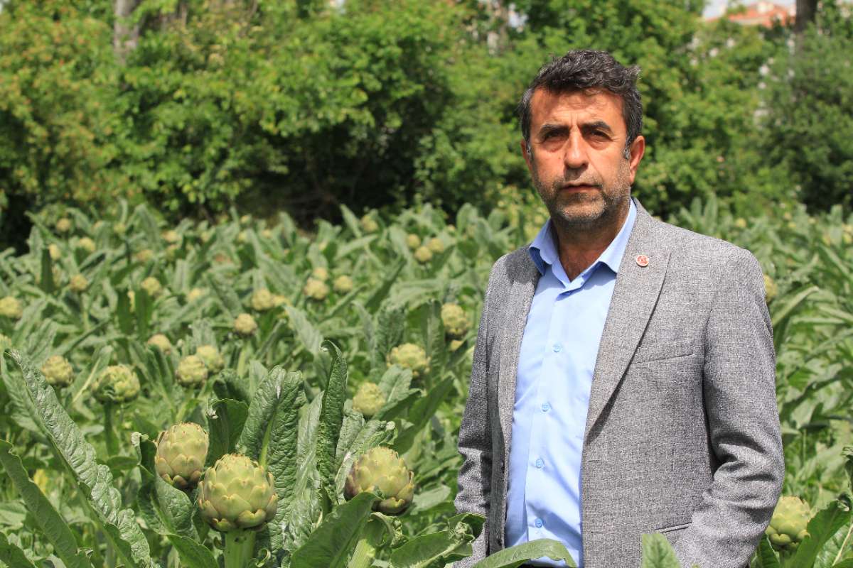 Hasanağa enginarı sahne aldı