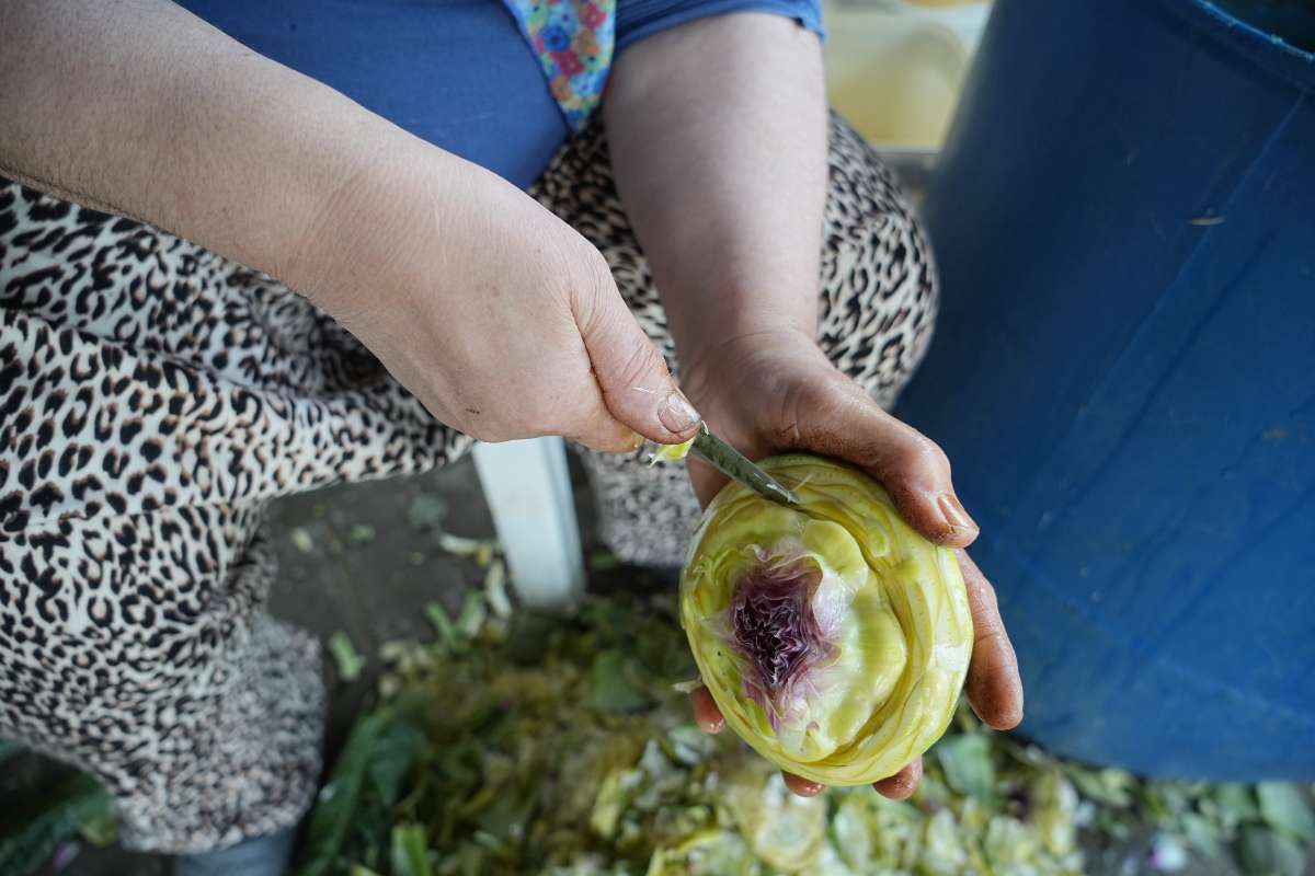 Hasanağa enginarı sahne aldı