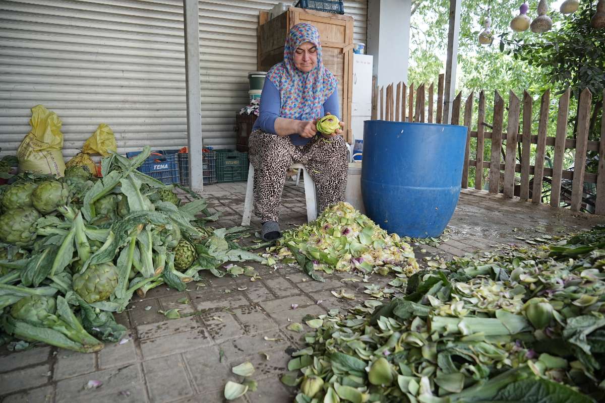 Hasanağa enginarı sahne aldı
