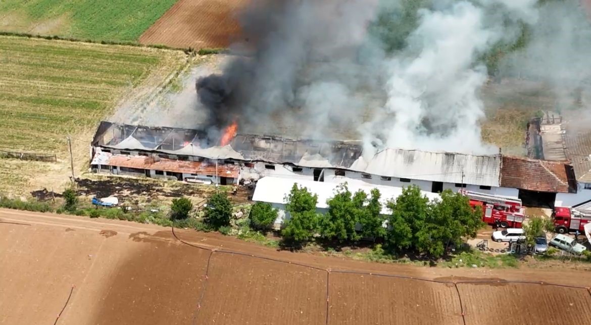 Bursa'da hayvan çiftliğindeki büyük yangın havadan görüntülendi