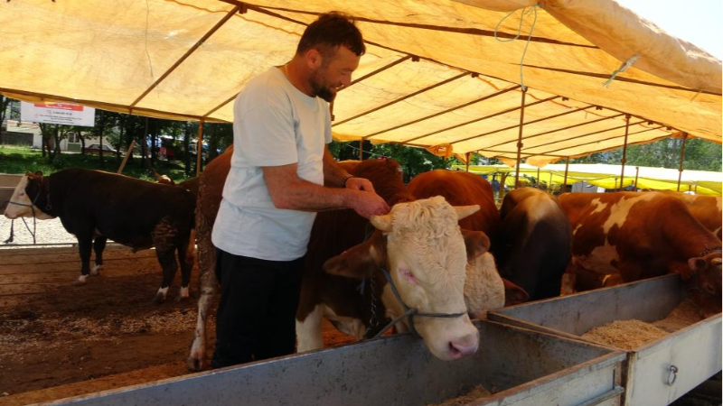 Ülke genelindeki tüm hayvan pazarları kapatıldı