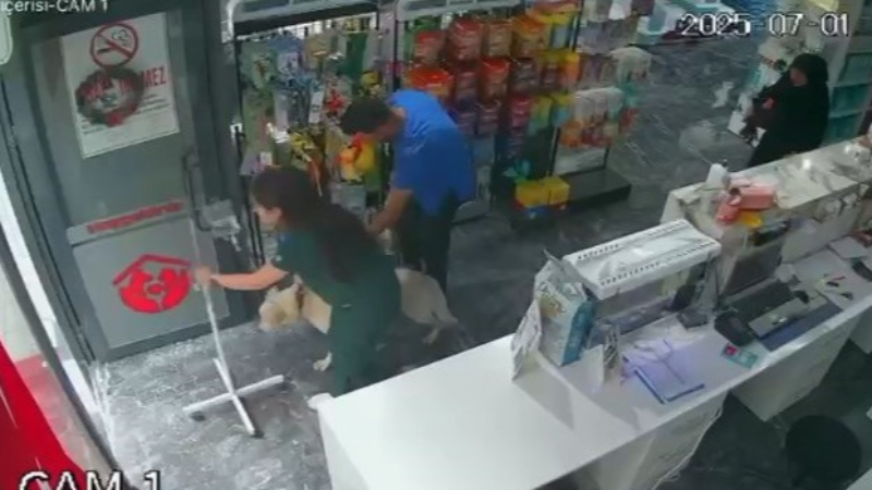 Bursa’daki depremde tedavi gören köpeği içeride bırakmadı