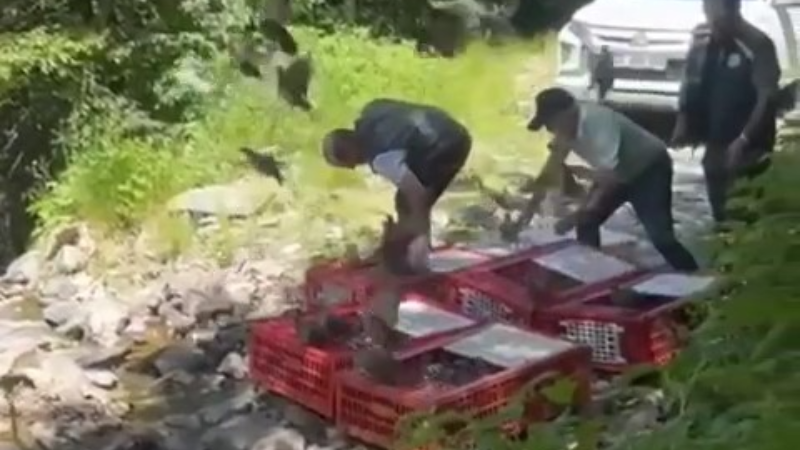 Bursa’nın kene ile mücadele timleri de göreve başladı