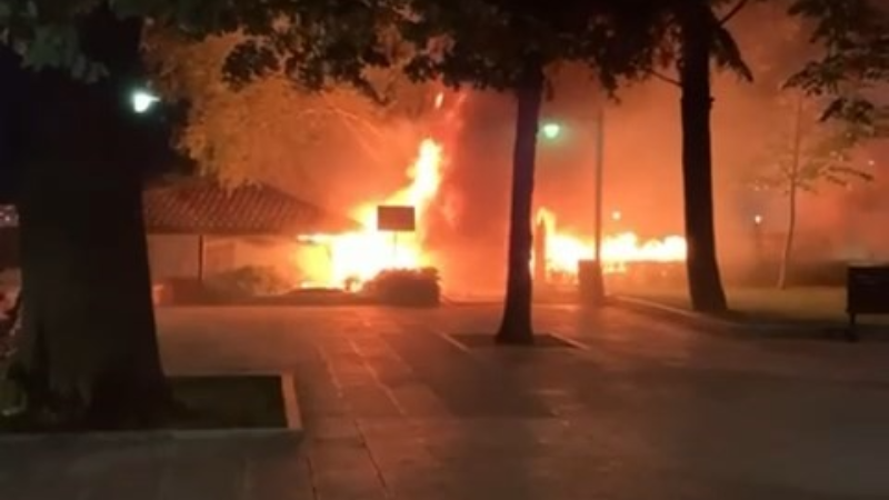 Bursa'da tarihi çay bahçesi alevlere teslim oldu