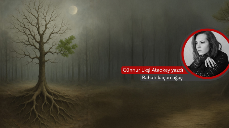 Rahatı kaçan ağaç