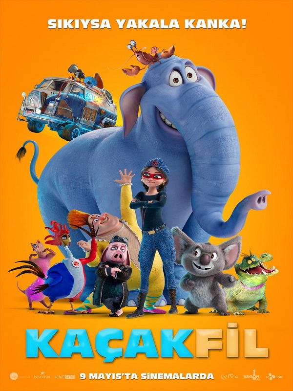 Kaçak Fil - DepoHaber