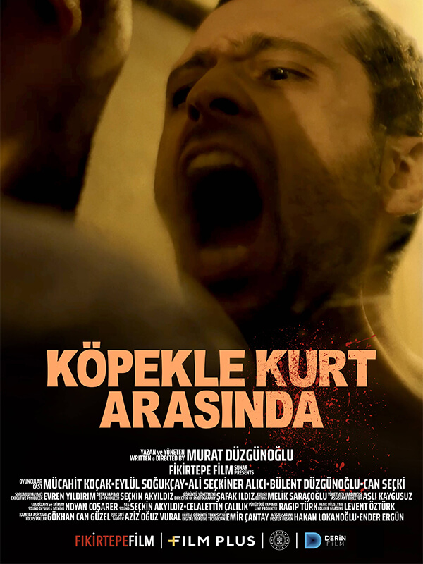 Köpekle Kurt Arasında - DepoHaber